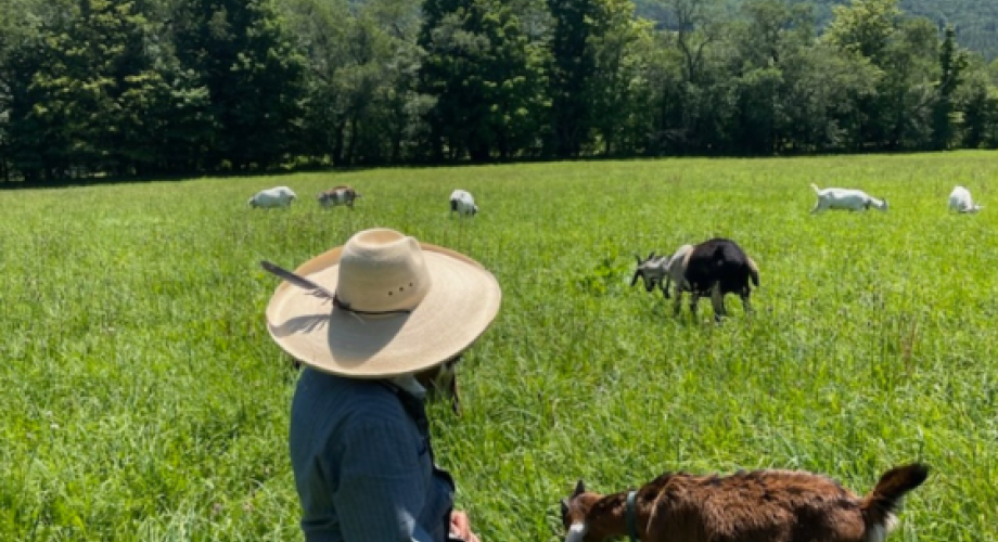 Tucked Away in Northern Delaware County Featured Image
