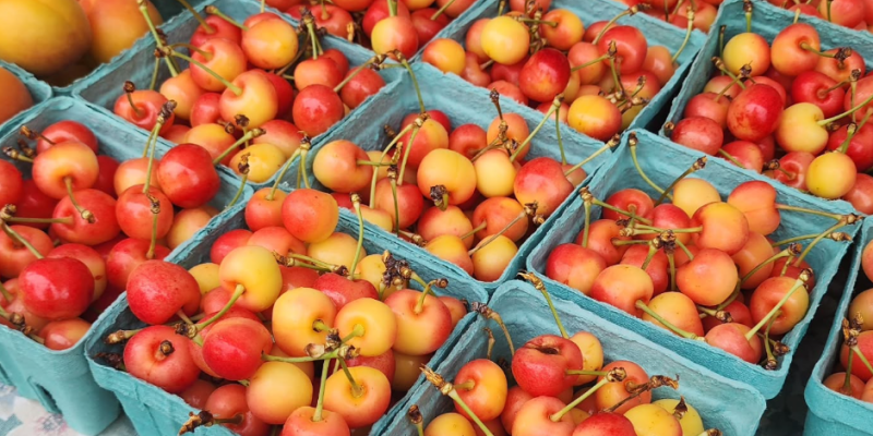 Wander + Gather: A Summer Farmers Market Guide