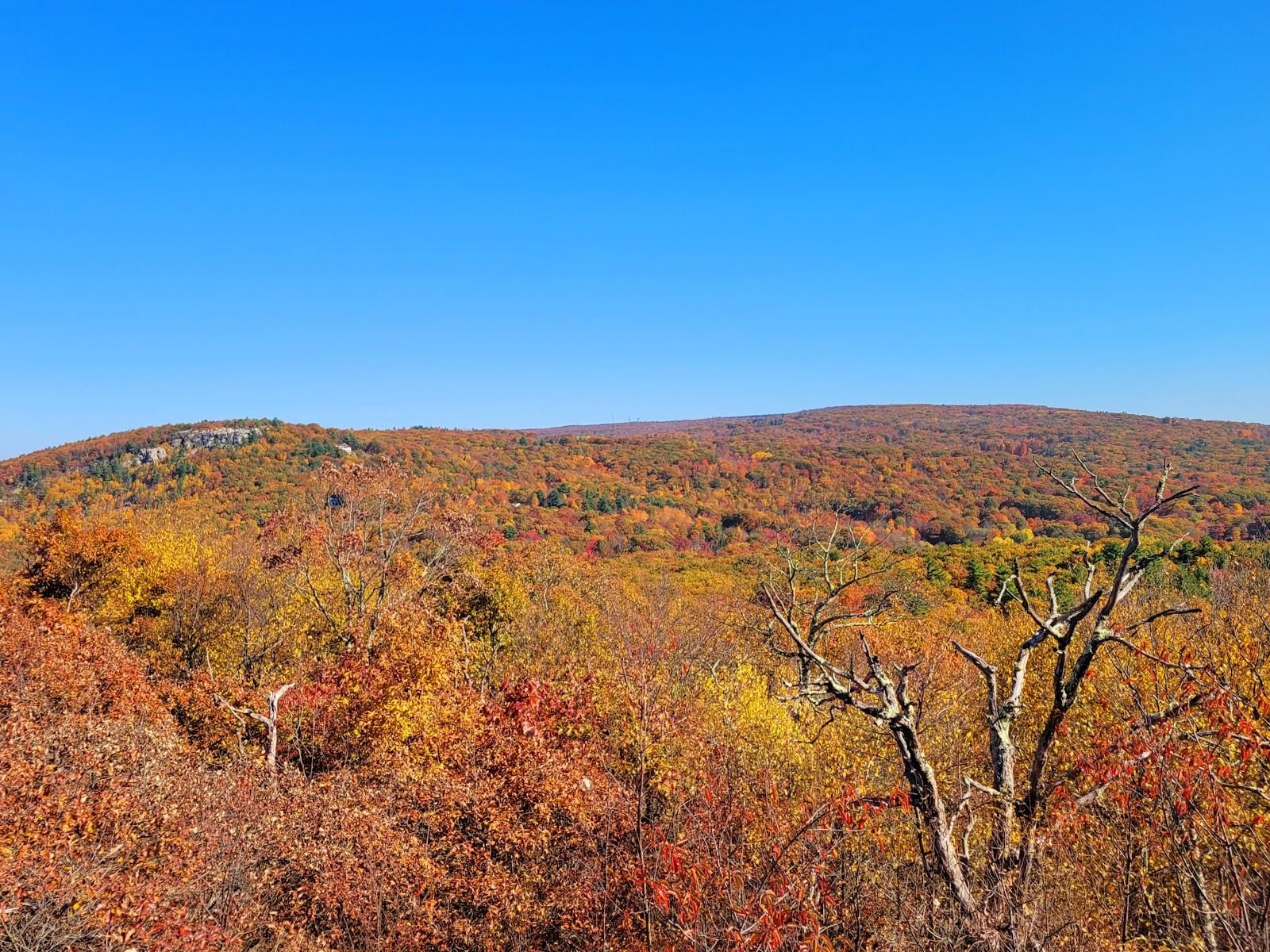 Shawangunk Ridge State Forest Trailhead & Parking Lot Image