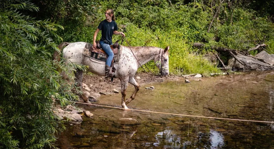 Outdoor Adventures In the Poconos Featured Image
