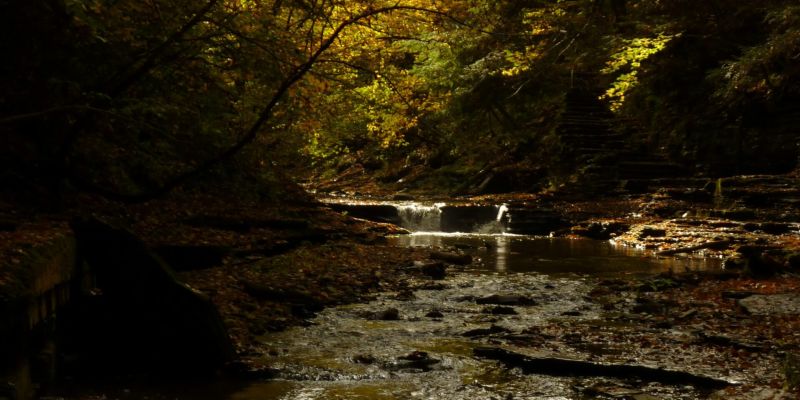 Berkshire Trails Worth the Trek: Best Fall Hikes