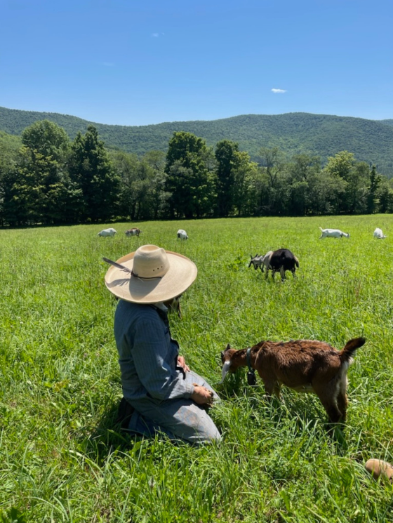 Roam on the range goat tour