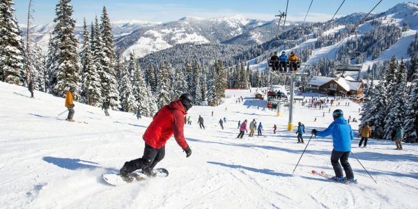 Assorted glass bottles of Vermont maple syrup arranged on a wooden shelf at a local market