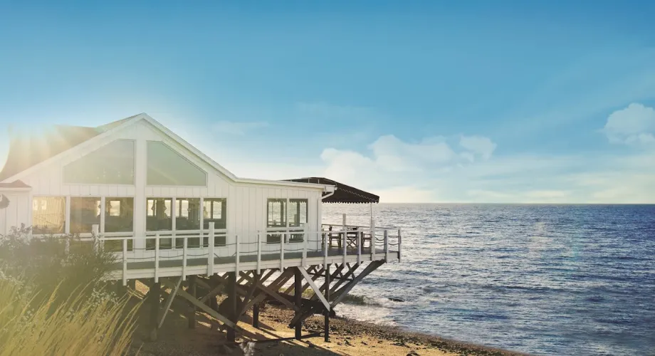 North Fork Favorites: From Vineyards to Cozy Cafés Featured Image