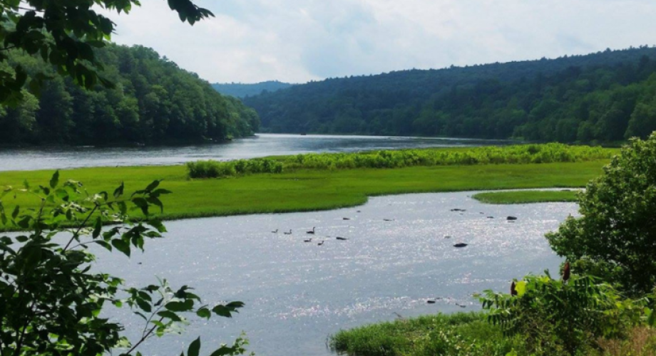 A Guide to Narrowsburg: The Catskills’ Creative Hideaway Featured Image