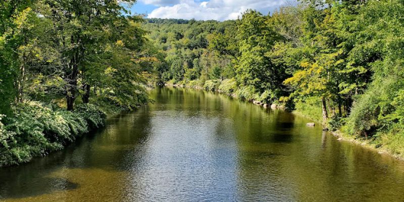 The Best of Callicoon, NY