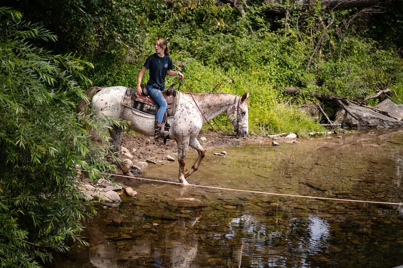 Girl on horse riding on a trail