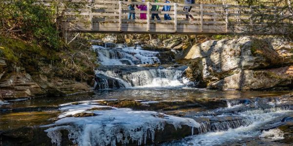 Hikers walking across a wooden footbridge on a forest trail surrounded by trees in the Catskills.