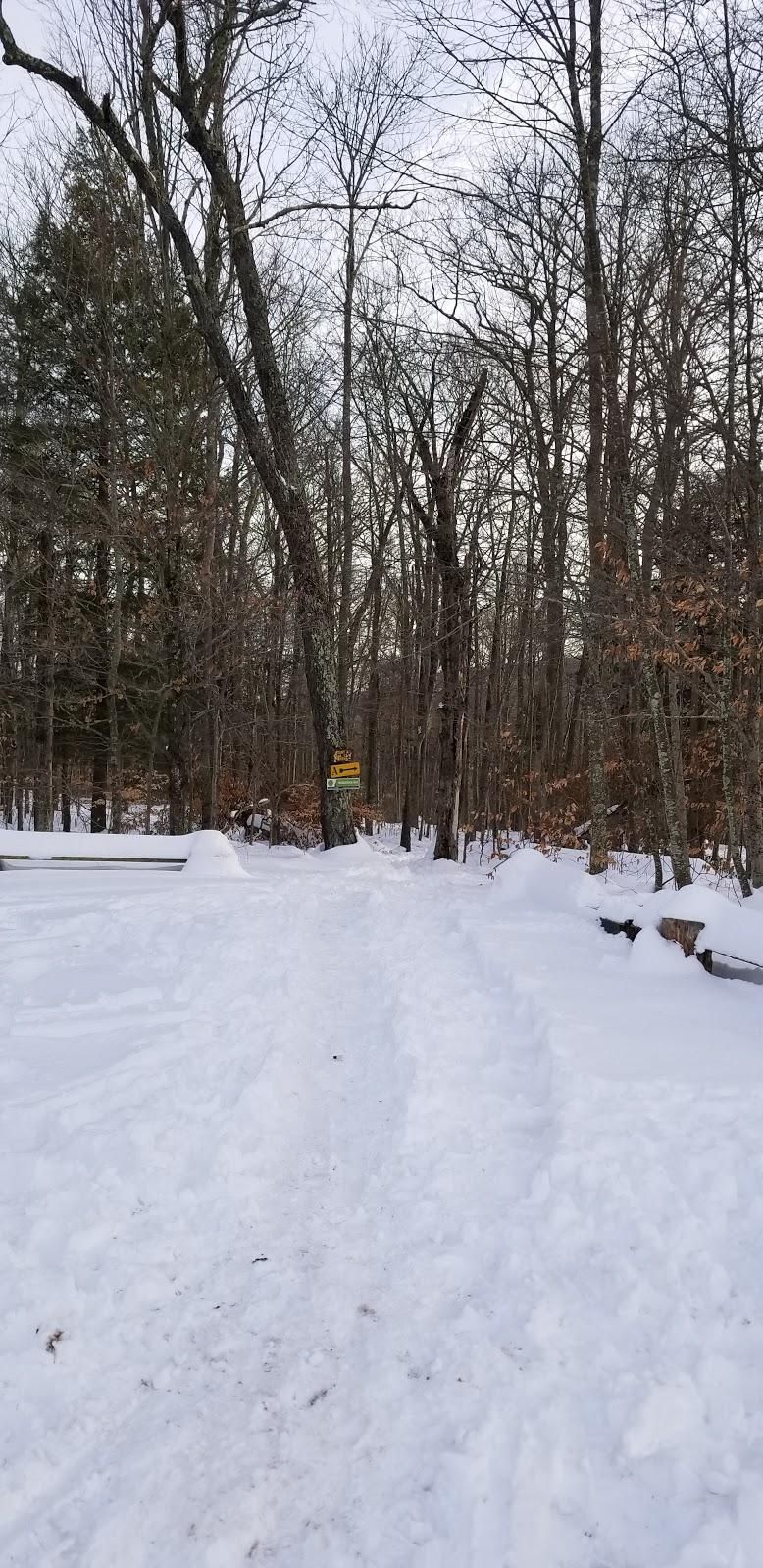 Belleayre Cross Country Skiing/Mountain Biking & Hiking Trails Image