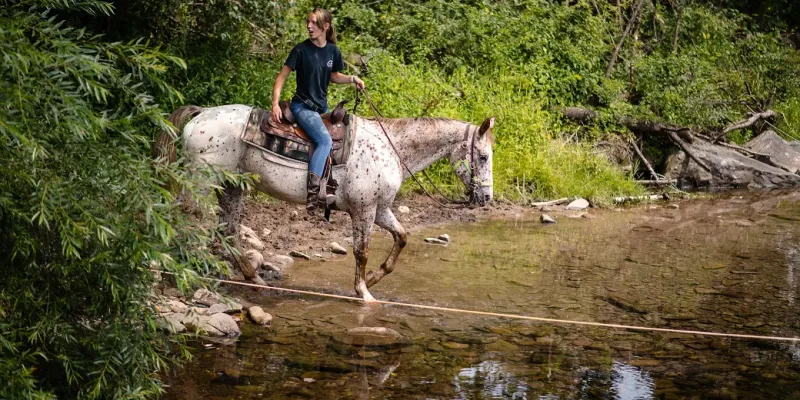 Outdoor Adventures In the Poconos