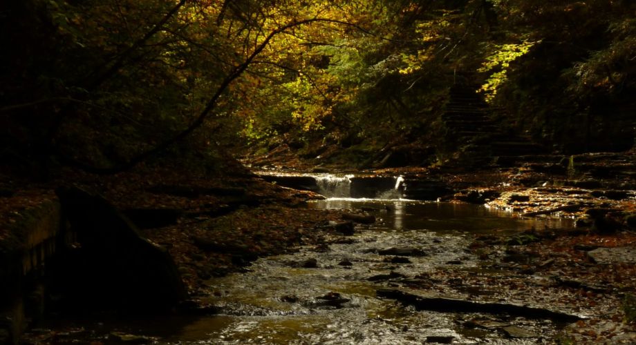 Berkshire Trails Worth the Trek: Best Fall Hikes Featured Image
