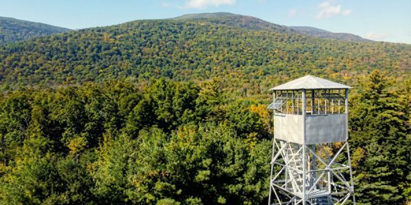 Group of people kayaking near a wooded shoreline on a calm lake during a sunny summer day