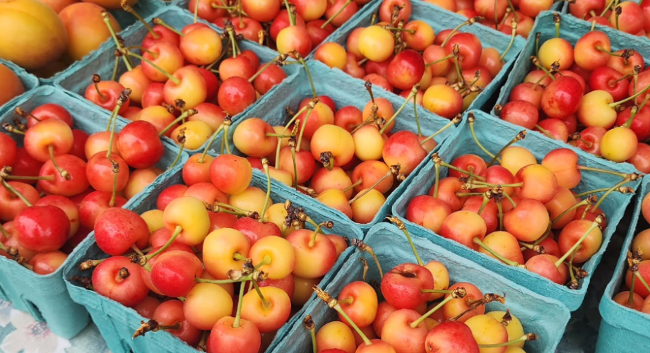 Wander + Gather: A Summer Farmers Market Guide Featured Image