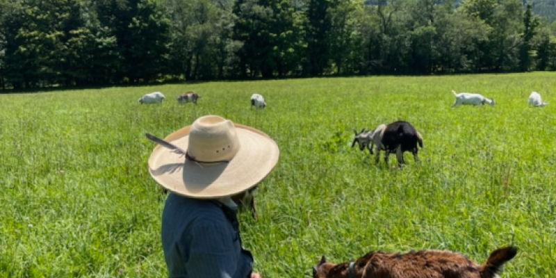 Tucked Away in Northern Delaware County