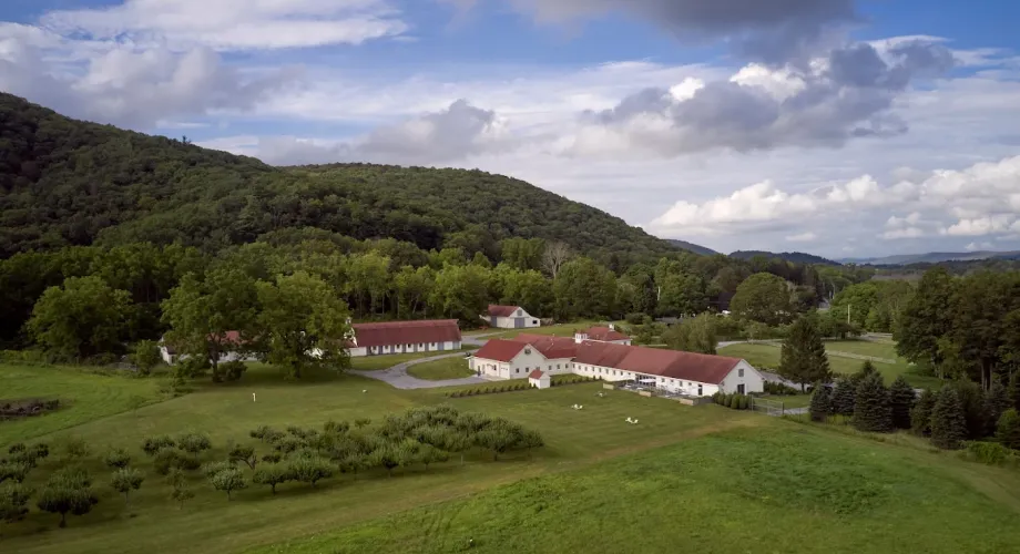 From Grain to Glass: Exploring the Region’s Best Distilleries Featured Image