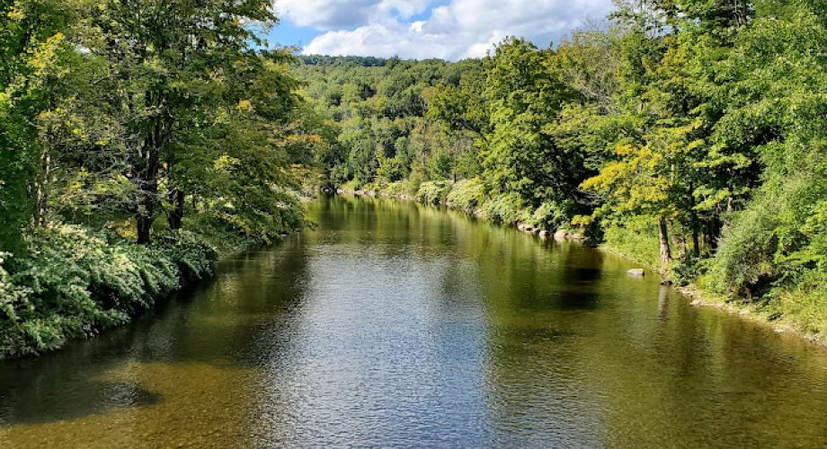 The Best of Callicoon, NY Featured Image