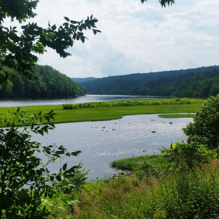 Upper Delaware River