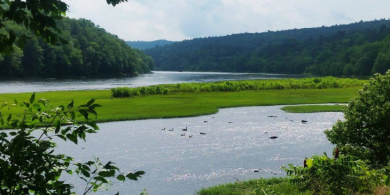 A Guide to Narrowsburg: The Catskills’ Creative Hideaway