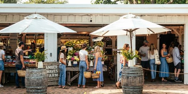 Large wheels and slices of artisan cheese displayed on a wooden counter at a Vermont market