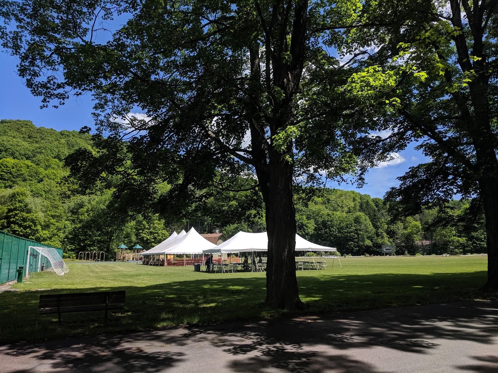 Fleischmanns Village Park Image