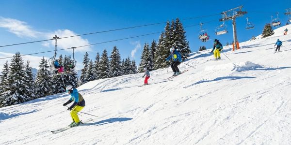 Assorted glass bottles of Vermont maple syrup arranged on a wooden shelf at a local market