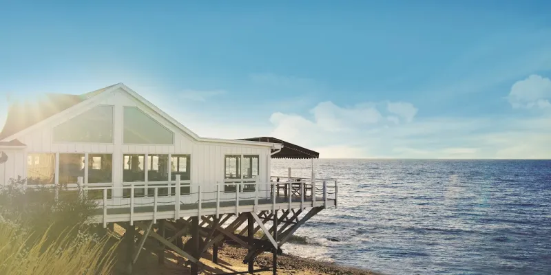 North Fork Favorites: From Vineyards to Cozy Cafés