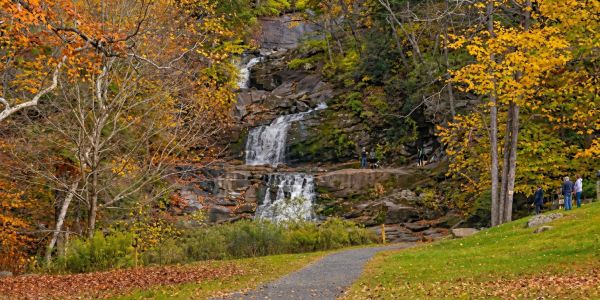 Hikers walking across a wooden footbridge on a forest trail surrounded by trees in the Catskills.