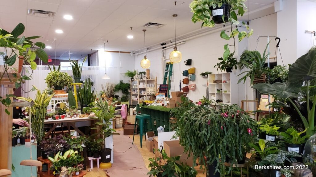 Inside the shop with tons of beautiful plants on display 