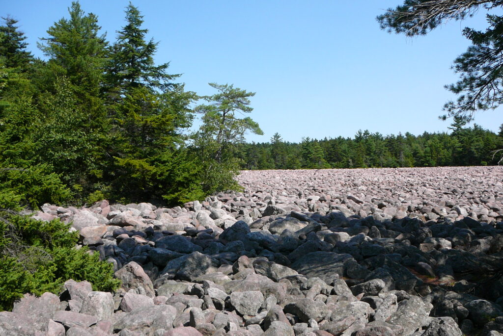 Field filled with small boulders