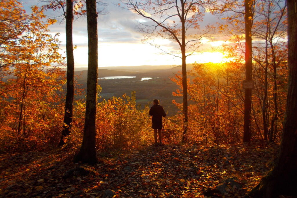 Appalachian Trail in CT fall 