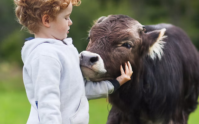 Kids petting animals CT Action Wildlife