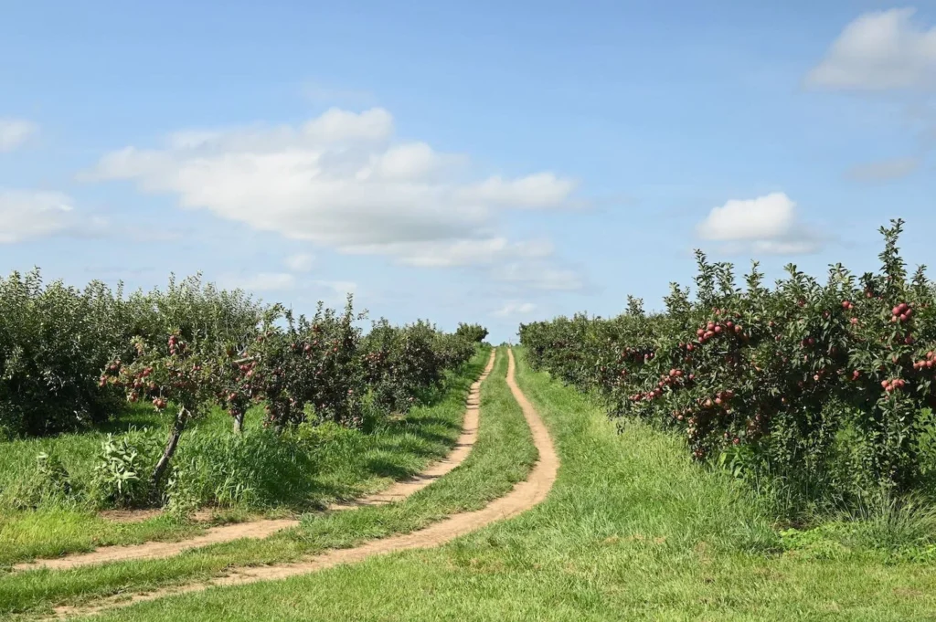 Pick your own apples in the hudson valley 