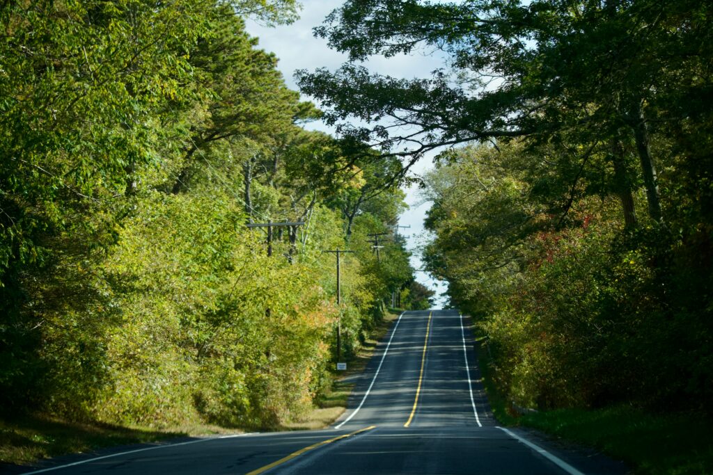 Catskill Roads