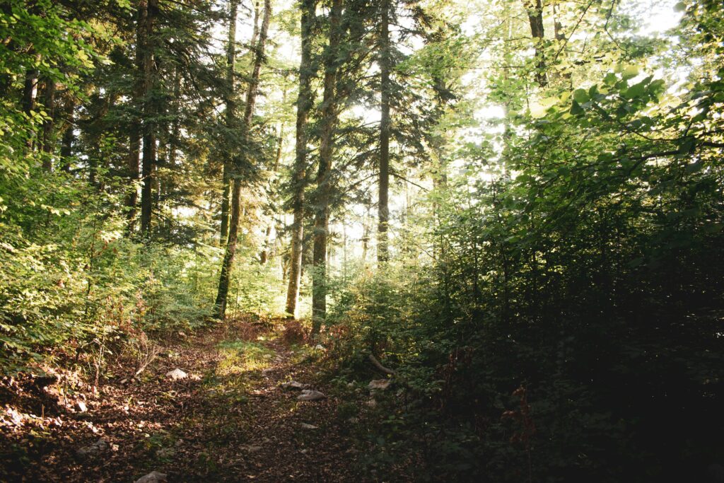 Hiking Trails list, Berkshires