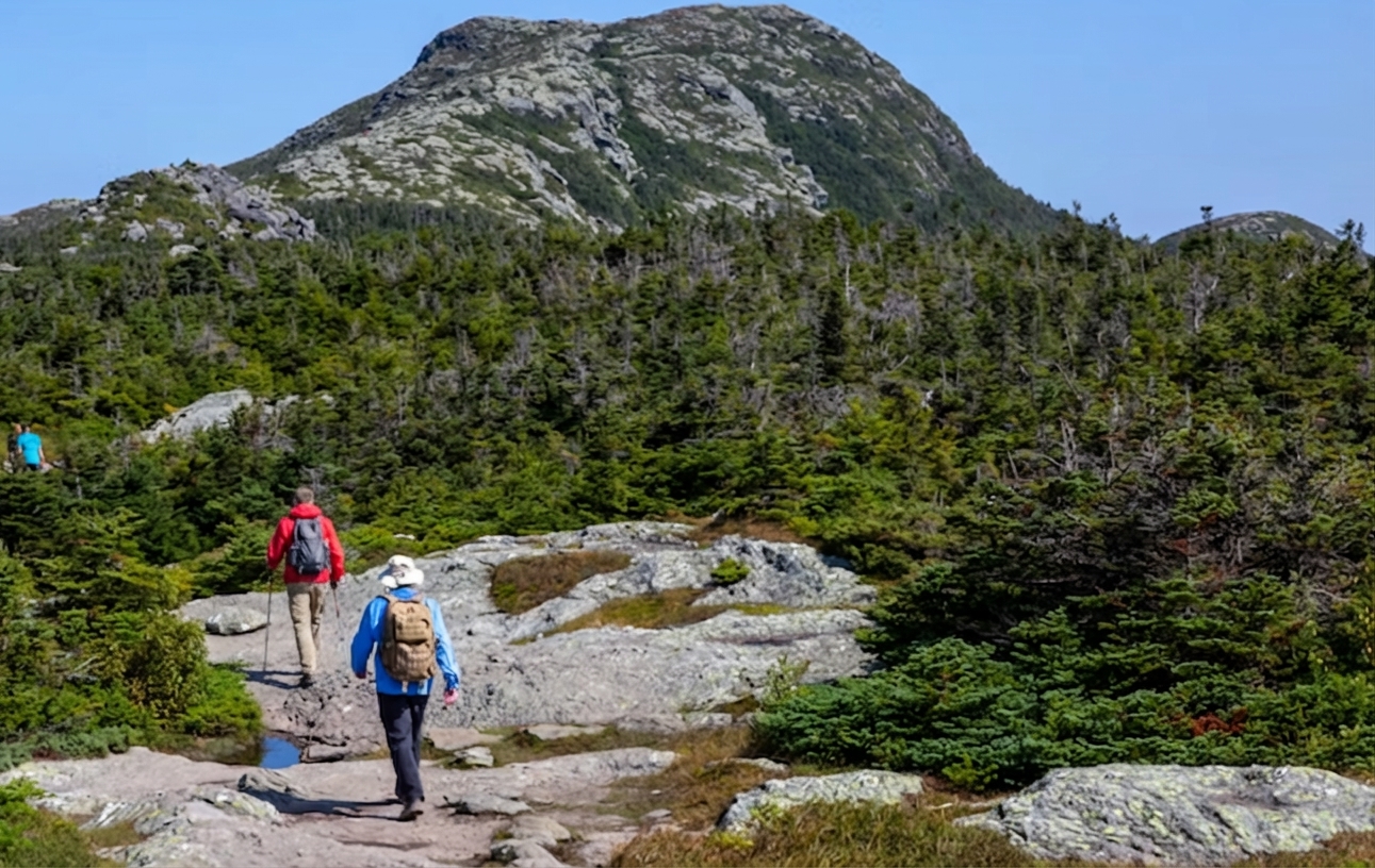 Summit views from Mt. Mansfield across the Green Mountains